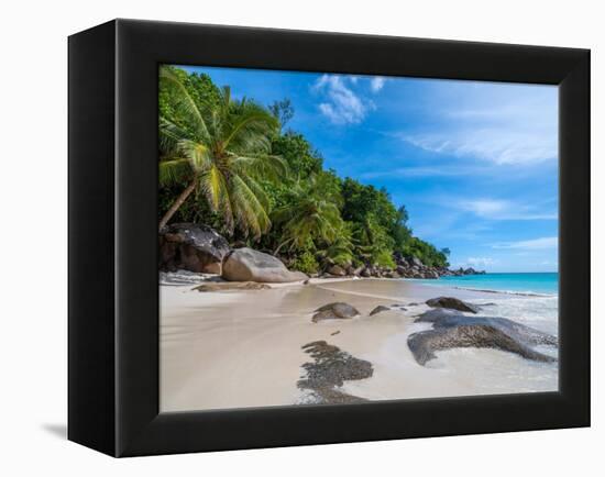 Enchanted island-Marco Carmassi-Framed Premier Image Canvas