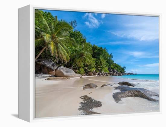 Enchanted island-Marco Carmassi-Framed Premier Image Canvas