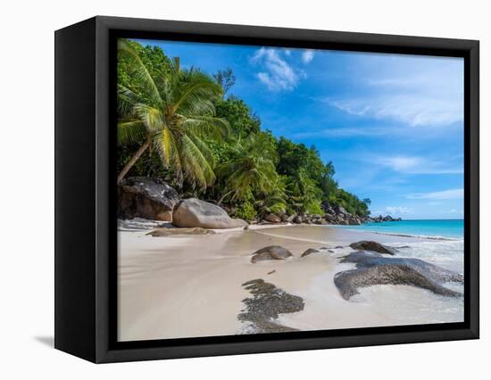 Enchanted island-Marco Carmassi-Framed Premier Image Canvas