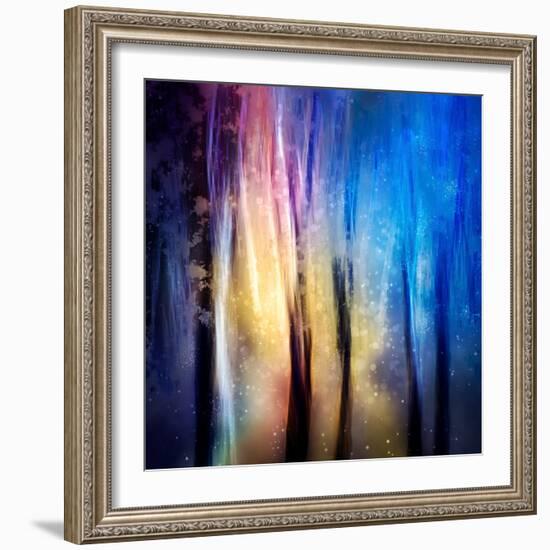 Enchanted Night-Ursula Abresch-Framed Photographic Print