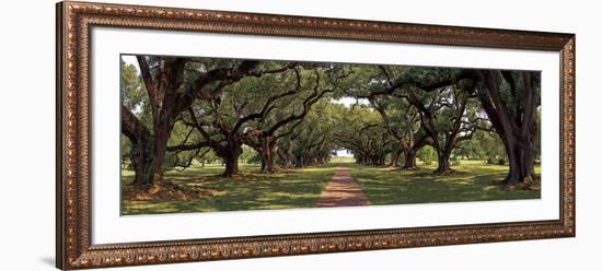 Enchanted Oaks-Mike Jones-Framed Art Print