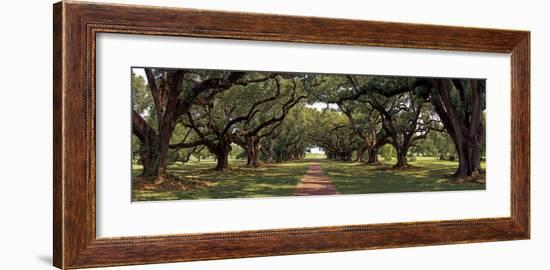 Enchanted Oaks-Mike Jones-Framed Giclee Print