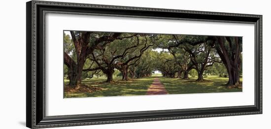 Enchanted Oaks-Mike Jones-Framed Giclee Print