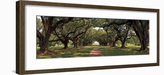 Enchanted Oaks-Mike Jones-Framed Giclee Print