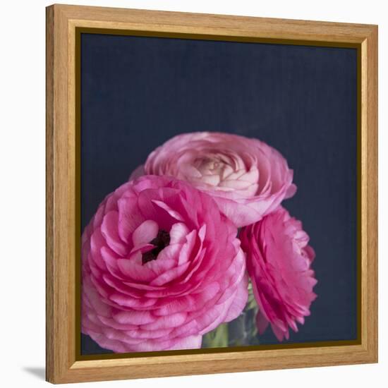 Enchanted Posies-Susannah Tucker-Framed Stretched Canvas