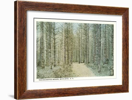 Enchanted Woods, White Mountains, New Hampshire-null-Framed Art Print
