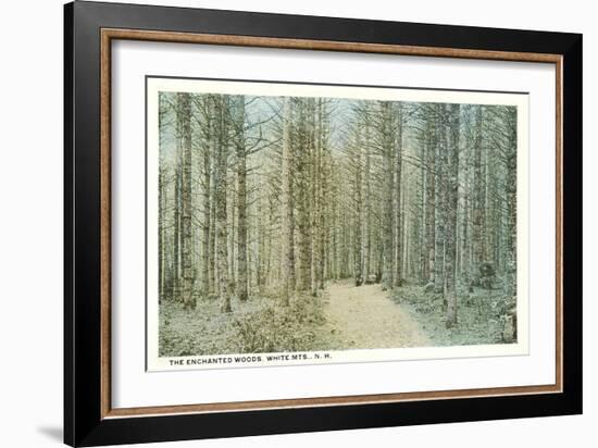 Enchanted Woods, White Mountains, New Hampshire-null-Framed Art Print