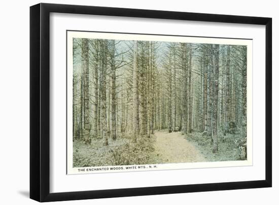 Enchanted Woods, White Mountains, New Hampshire-null-Framed Art Print