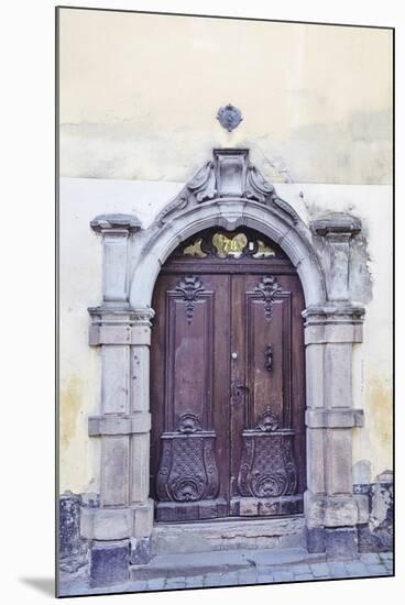 Enchanting Entrance-Irene Suchocki-Mounted Giclee Print
