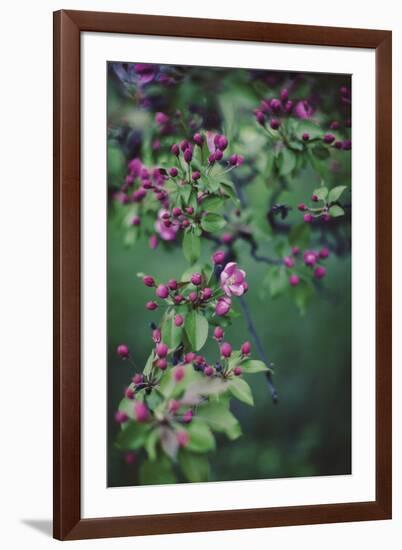 Enchanting Garden-Irene Suchocki-Framed Giclee Print