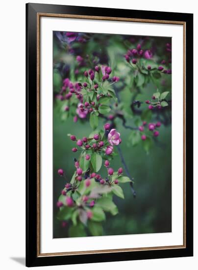 Enchanting Garden-Irene Suchocki-Framed Giclee Print
