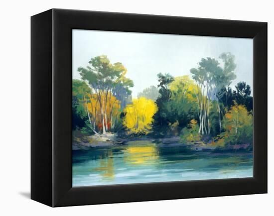 Enchantment-Athanase Pell-Framed Premier Image Canvas