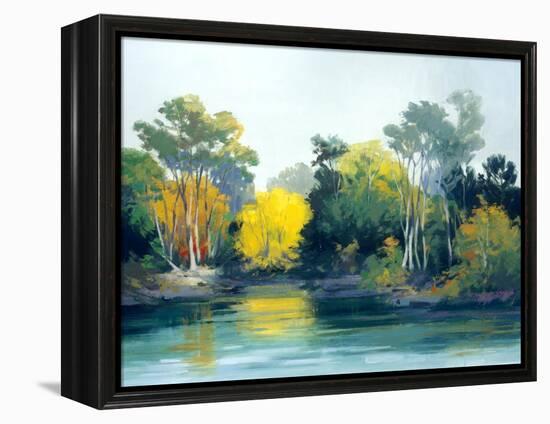 Enchantment-Athanase Pell-Framed Premier Image Canvas