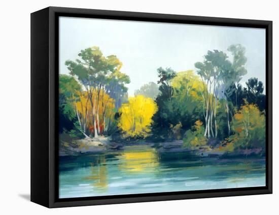 Enchantment-Athanase Pell-Framed Premier Image Canvas