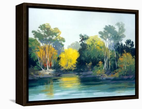 Enchantment-Athanase Pell-Framed Premier Image Canvas