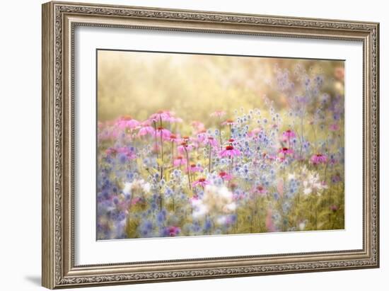 Enchantment-Jacky Parker-Framed Giclee Print