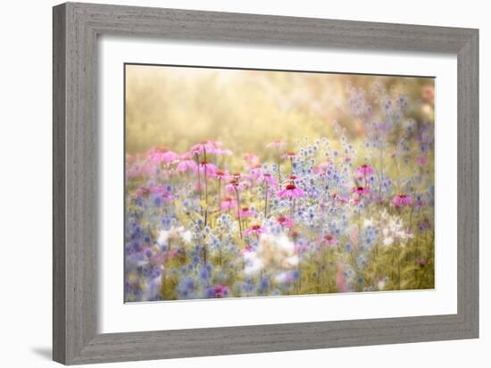 Enchantment-Jacky Parker-Framed Giclee Print