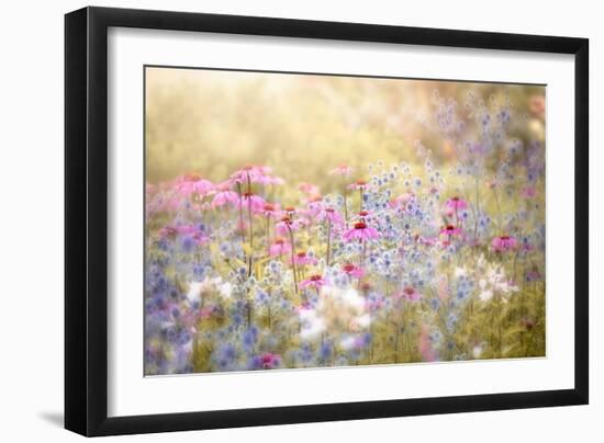 Enchantment-Jacky Parker-Framed Giclee Print