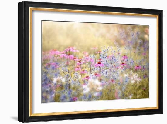 Enchantment-Jacky Parker-Framed Giclee Print