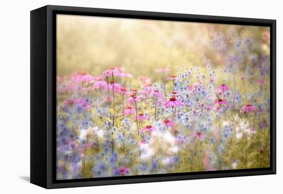 Enchantment-Jacky Parker-Framed Premier Image Canvas