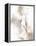 Enchantress IV-Rikki Drotar-Framed Premier Image Canvas