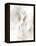 Enchantress V-Rikki Drotar-Framed Premier Image Canvas