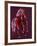 Enchantress-Penny Warden-Framed Giclee Print