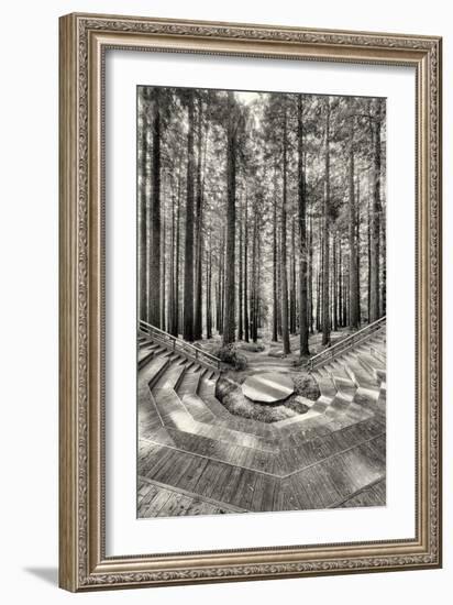 Encore-Geoffrey Ansel Agrons-Framed Photographic Print