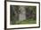 Encounter-Luis Aguirre-Framed Giclee Print