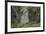 Encounter-Luis Aguirre-Framed Giclee Print