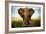 Encounters in Serengeti-Alberto Ghizzi Panizza-Framed Art Print