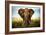 Encounters in Serengeti-Alberto Ghizzi Panizza-Framed Art Print