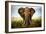 Encounters in Serengeti-Alberto Ghizzi Panizza-Framed Art Print