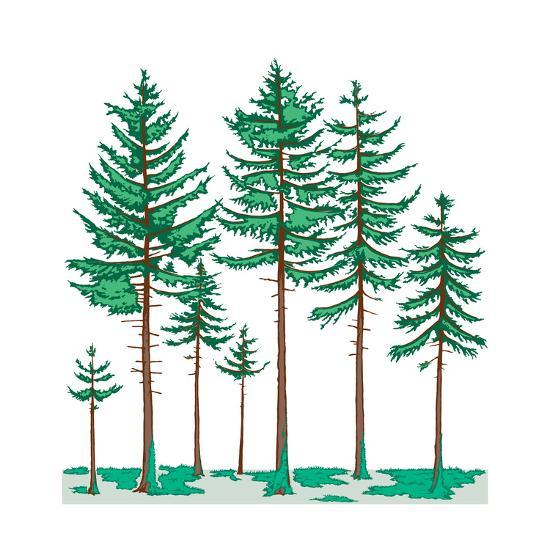 Art Print, , large