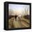 End of Day CM-Kevin Dodds-Framed Premier Image Canvas