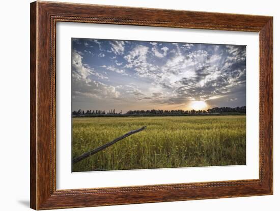 End of Day-Giuseppe Torre-Framed Photographic Print