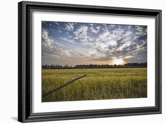 End of Day-Giuseppe Torre-Framed Photographic Print