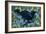 End of Season-Durwood Coffey-Framed Giclee Print