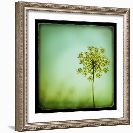 End of Summer-Irene Suchocki-Framed Giclee Print