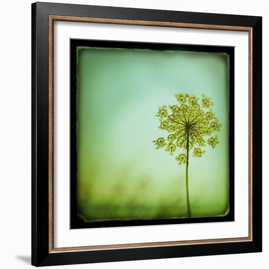 End of Summer-Irene Suchocki-Framed Giclee Print