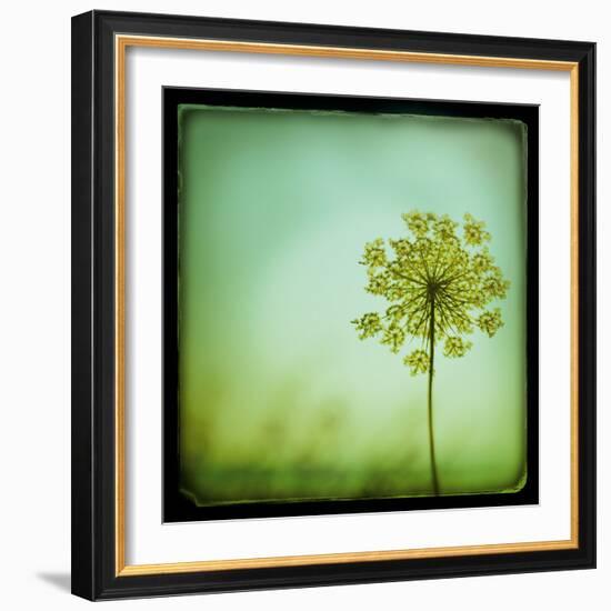 End of Summer-Irene Suchocki-Framed Giclee Print