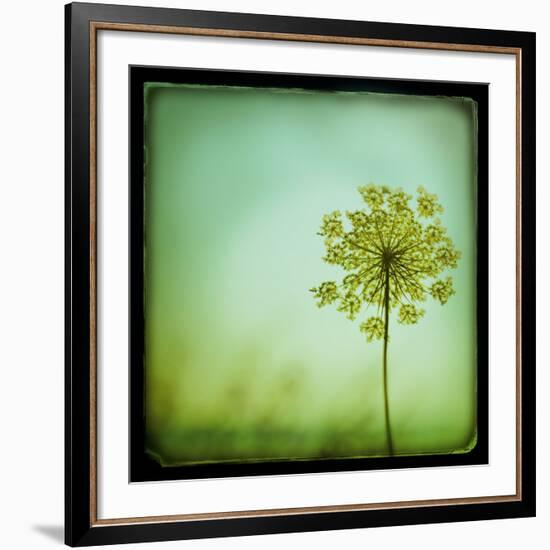 End of Summer-Irene Suchocki-Framed Giclee Print