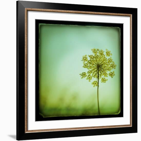 End of Summer-Irene Suchocki-Framed Giclee Print