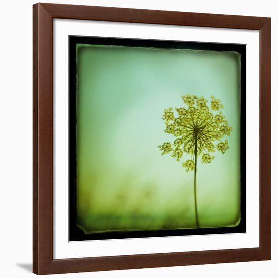 End of Summer-Irene Suchocki-Framed Giclee Print