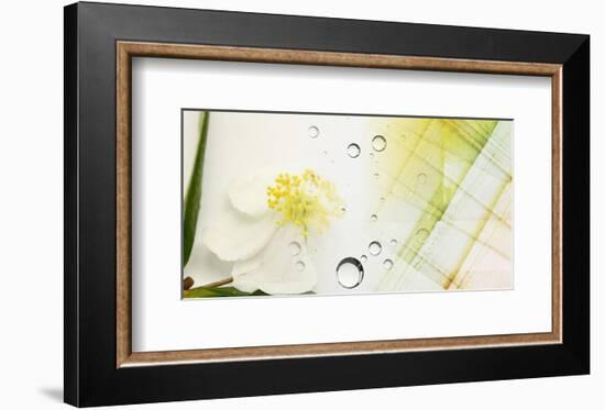 End Of Summer-null-Framed Premium Giclee Print