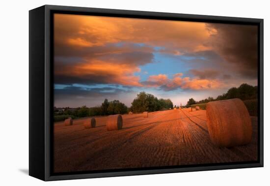 End of Summer-Philippe Sainte-Laudy-Framed Premier Image Canvas