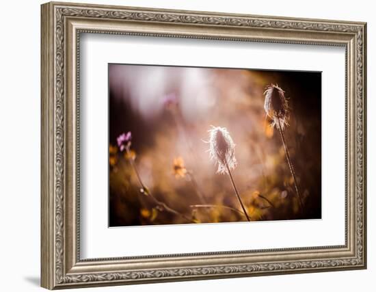 End of Summer-Ursula Abresch-Framed Photographic Print