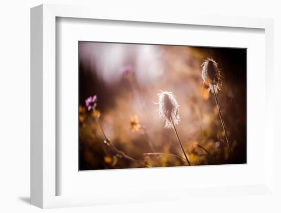 End of Summer-Ursula Abresch-Framed Photographic Print