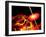 End of the World: the Earth Destroyed by a Black Hole-Stocktrek Images-Framed Photographic Print