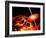 End of the World: the Earth Destroyed by a Black Hole-Stocktrek Images-Framed Photographic Print